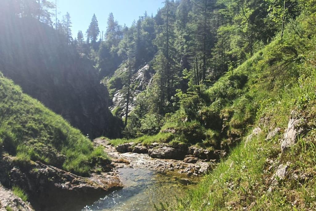 Romantisches Alpenchalet - Mit Sauna Und Kamin - Ruhig Und Zentral Bad Tölz Kültér fotó