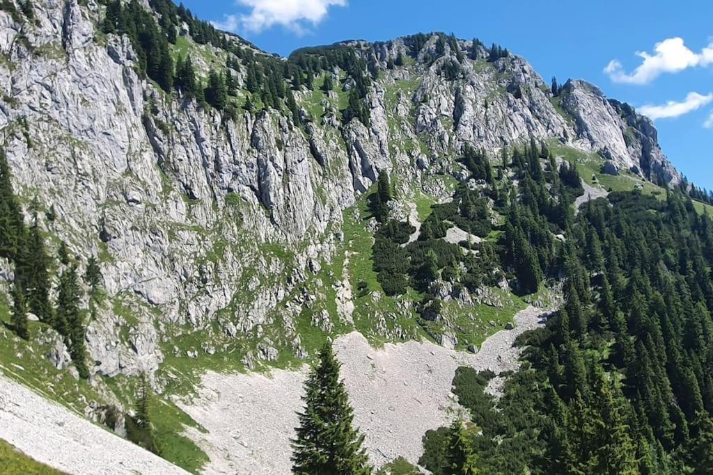 Romantisches Alpenchalet - Mit Sauna Und Kamin - Ruhig Und Zentral Bad Tölz Kültér fotó